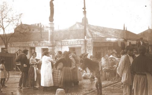 b19201-alfonsofuente-abronigal